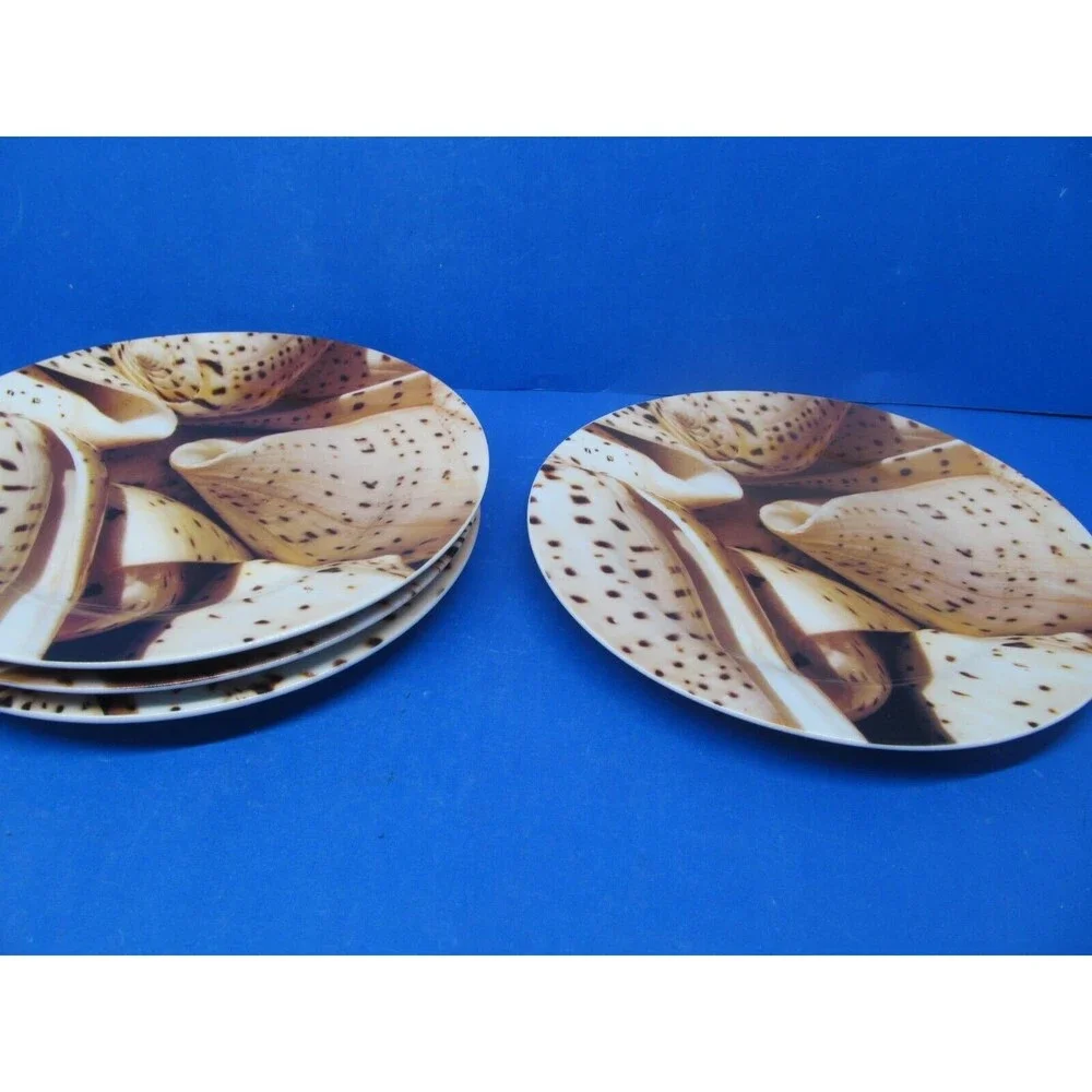 Pier 1 Seashell 8